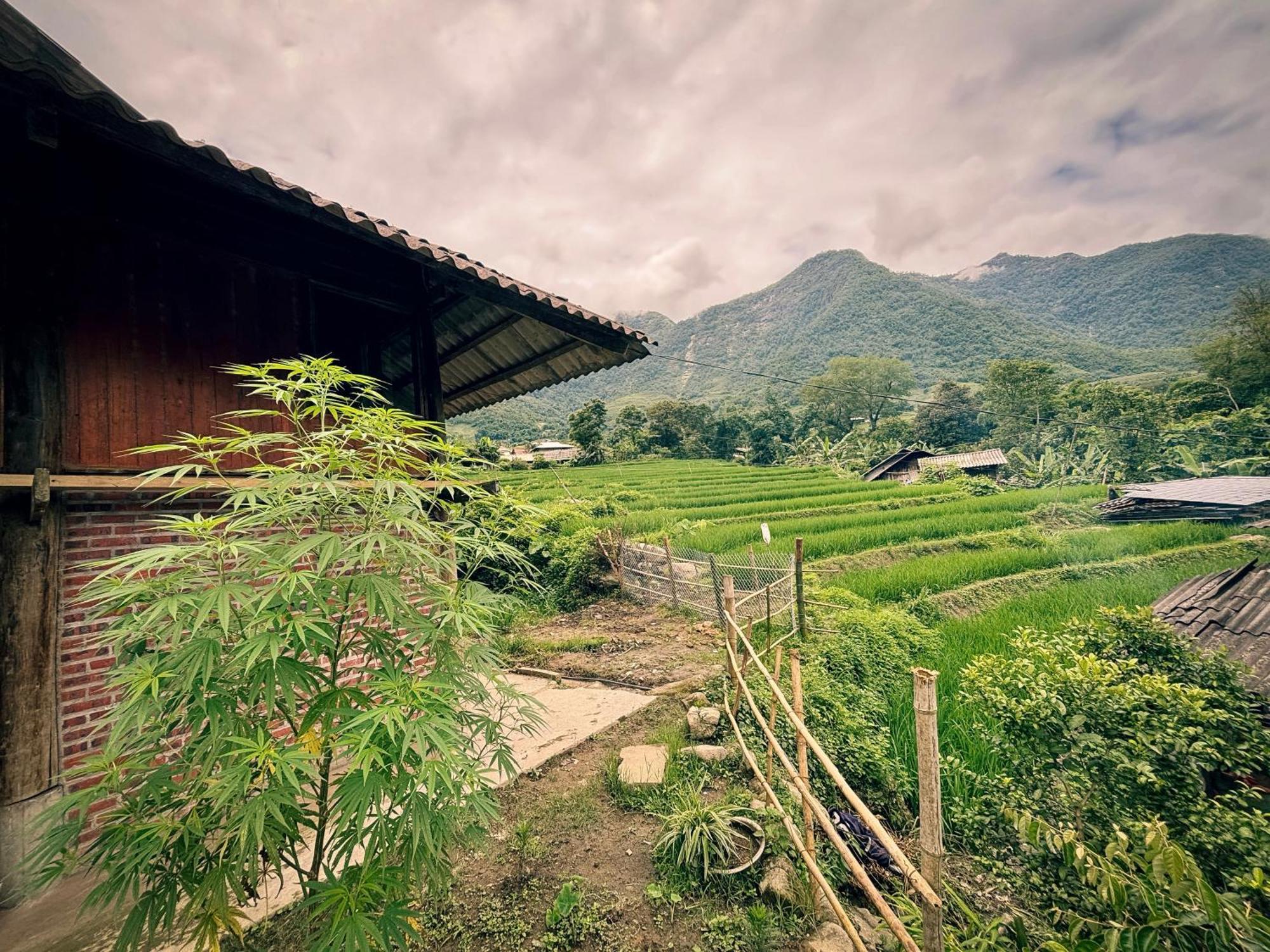 Sapa Tranquilla Apartment ภายนอก รูปภาพ